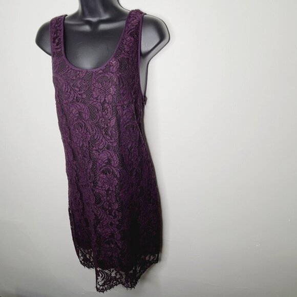 Aritzia Wilfred Grape Lace Scoop Neck Mini Dress - Picture 3 of 7